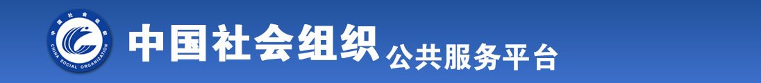 级屄全国社会组织信息查询